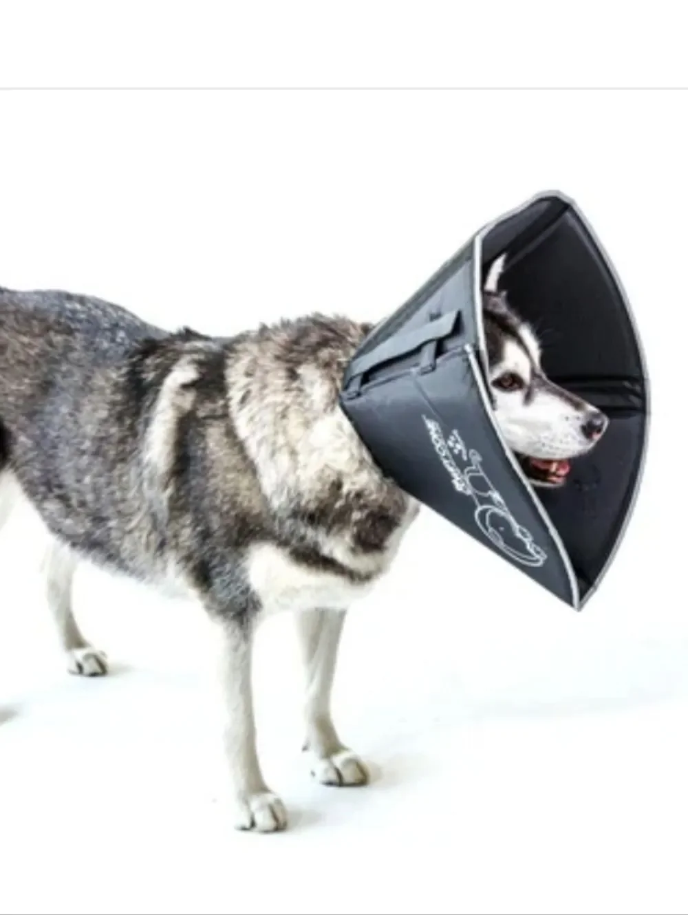 GORAPET Soft Recovery Collar - Black Large